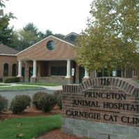 Princeton Animal Hospital & Carnegie Cat Clinic ico