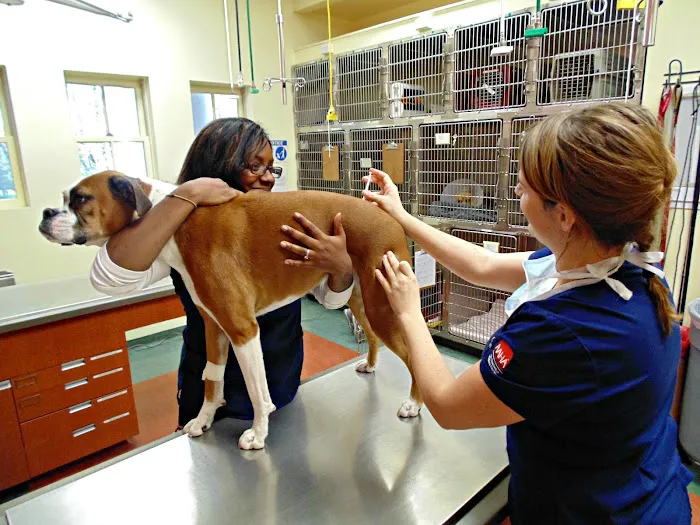 Princeton Animal Hospital & Carnegie Cat Clinic Picture 2