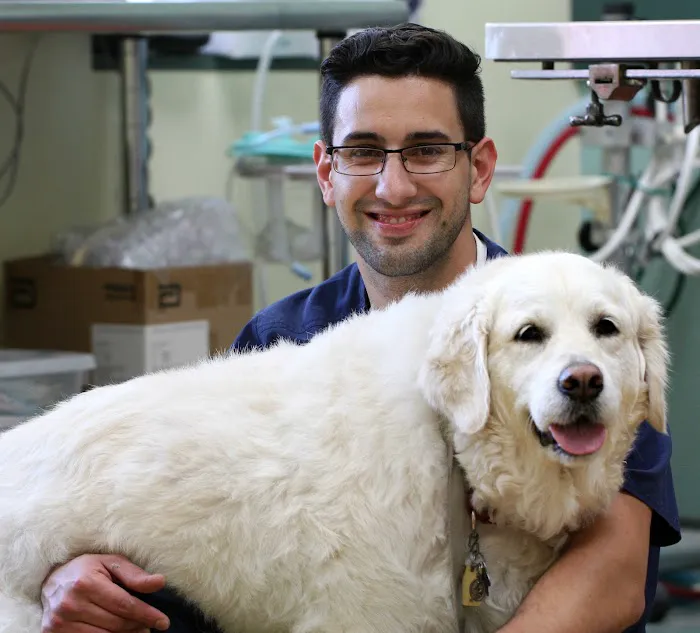 Princeton Animal Hospital & Carnegie Cat Clinic Picture 4
