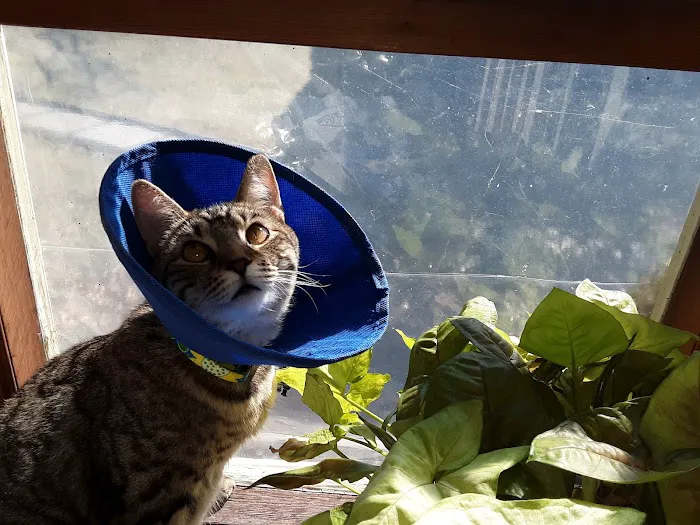 Belle Mead Animal Hospital Picture 4