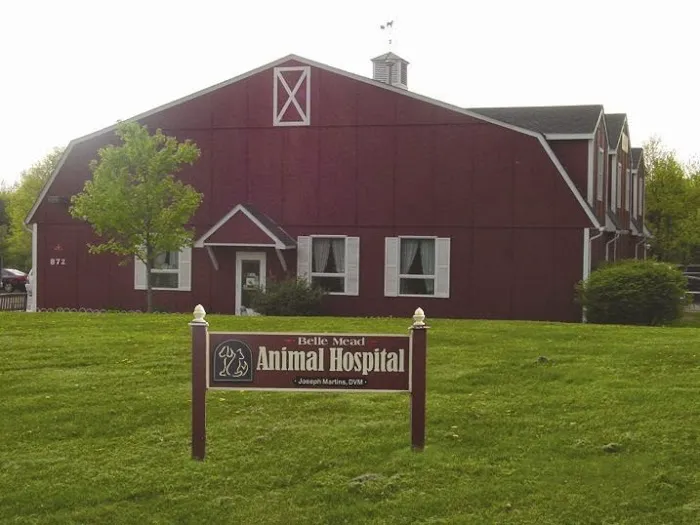 Belle Mead Animal Hospital Picture 2