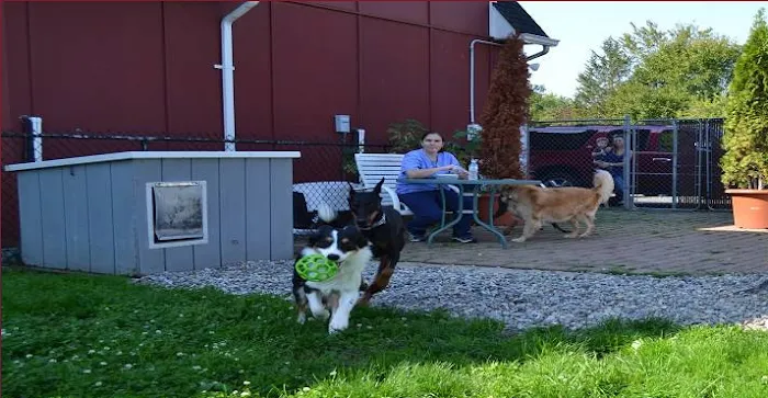 Belle Mead Animal Hospital Picture 7