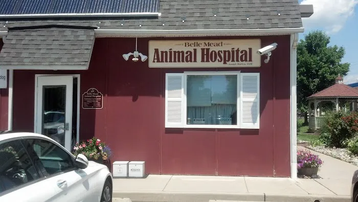 Belle Mead Animal Hospital Picture 6
