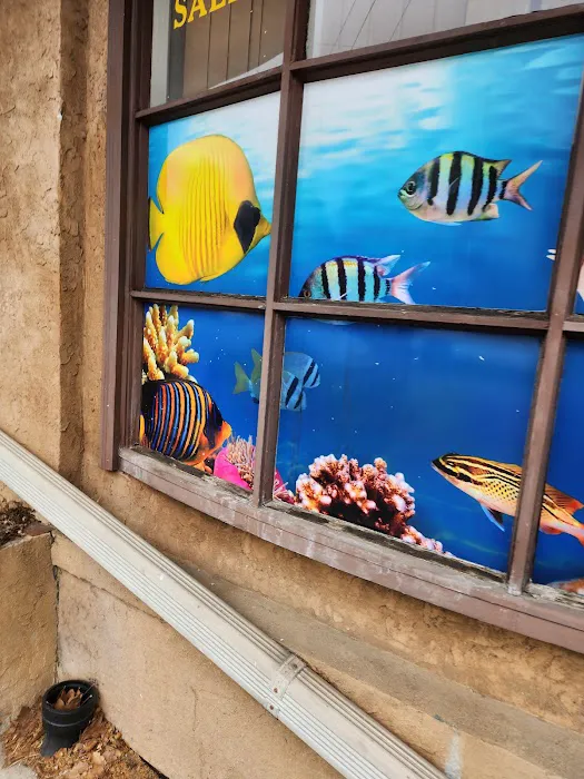 Mini Reef Picture 2