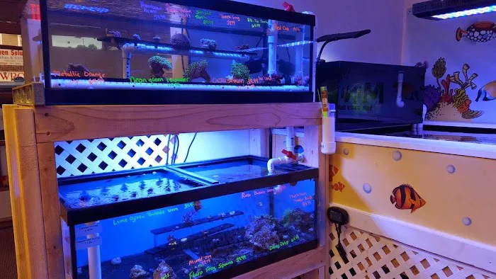 Mini Reef Picture 6