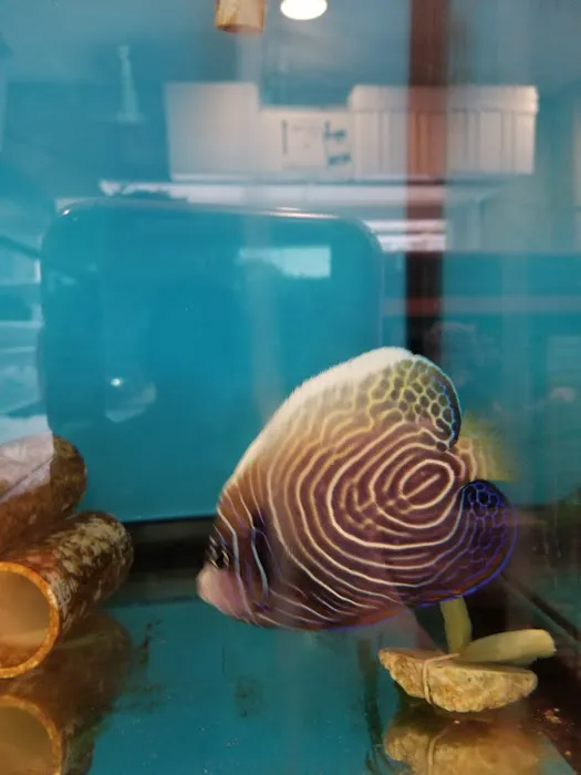 Mini Reef Picture 4