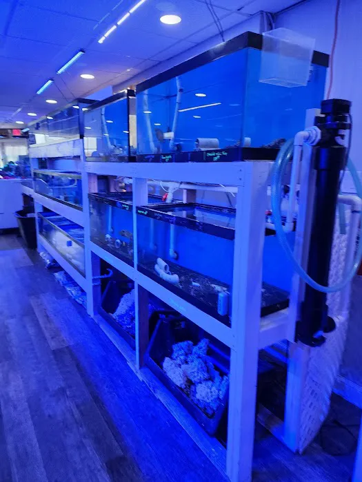 Mini Reef Picture 8