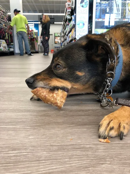 Pet Supplies Plus Woodlyn Picture 6