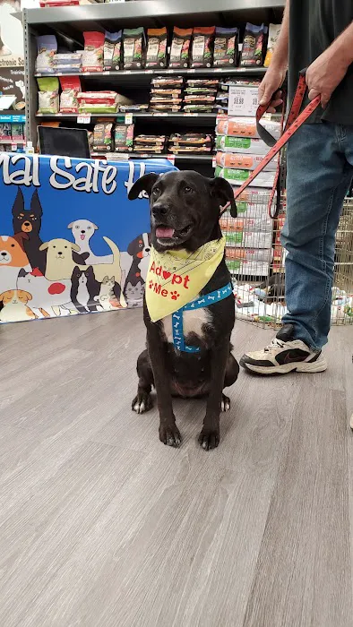 Pet Supplies Plus Woodlyn Picture 7