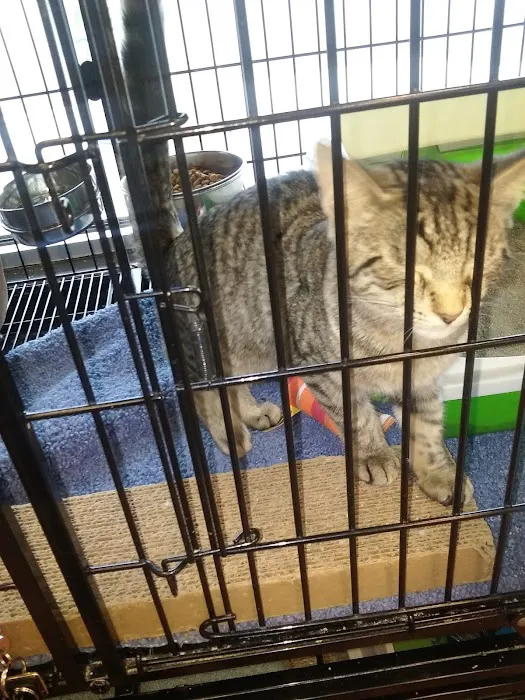 Pet Valu Picture 1