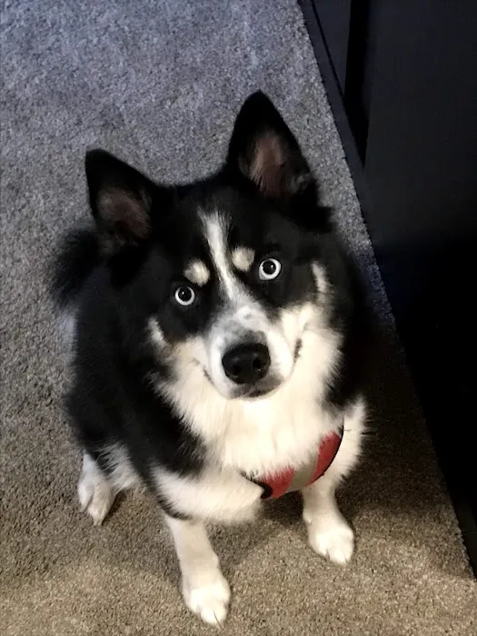 Pet Valu Picture 4
