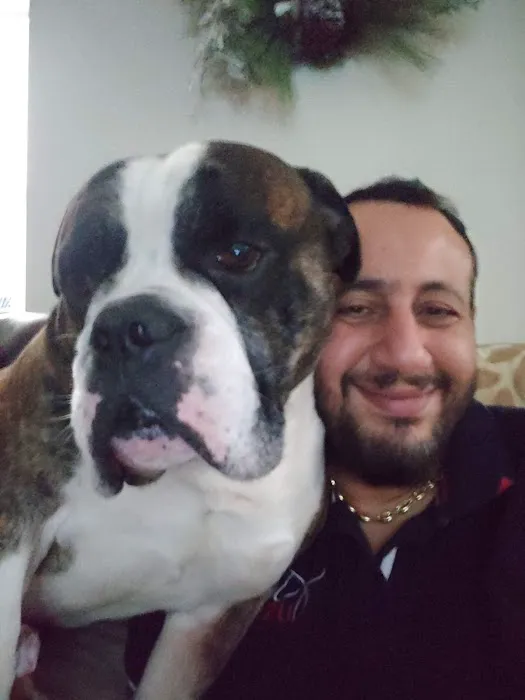 Pet Valu Picture 3