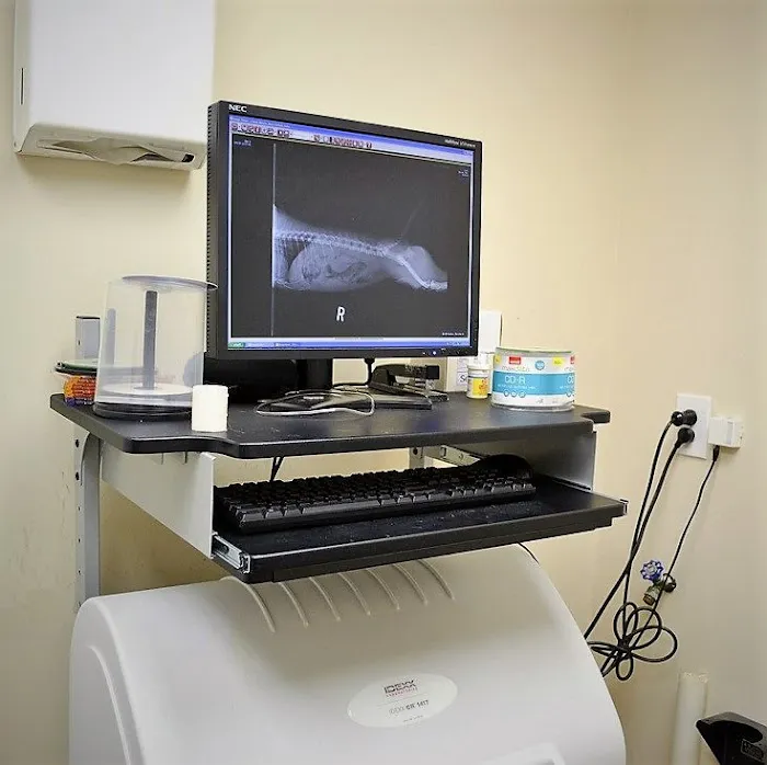 VCA County Veterinary Hospital Picture 6