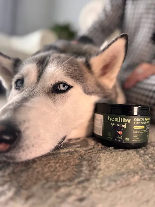 Healthy Woof Picture 3