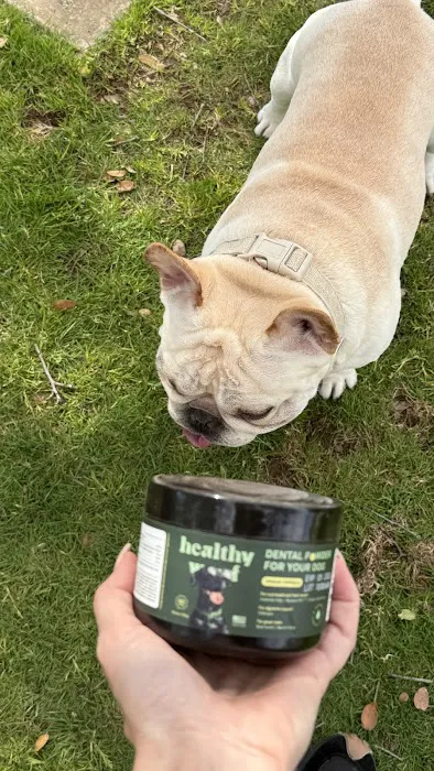 Healthy Woof Picture 8
