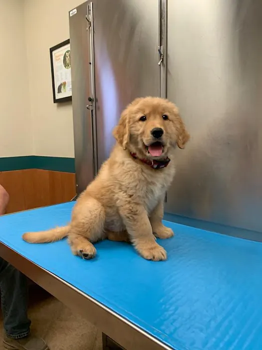 Red Bank Veterinary Hospital (RBVH) - Hillsborough Picture 10