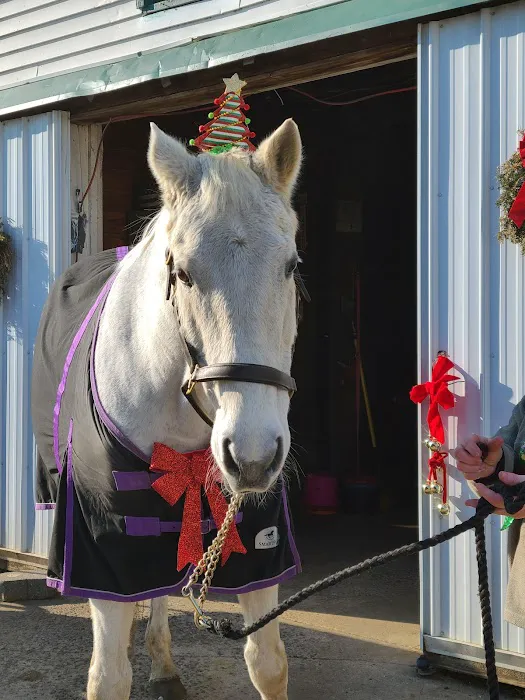 Colts Neck Equine Associates Picture 2