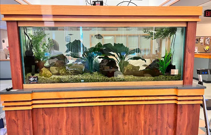 Aquarium Services Professionals Picture 3