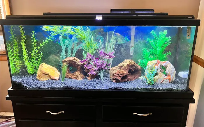 Aquarium Services Professionals Picture 5