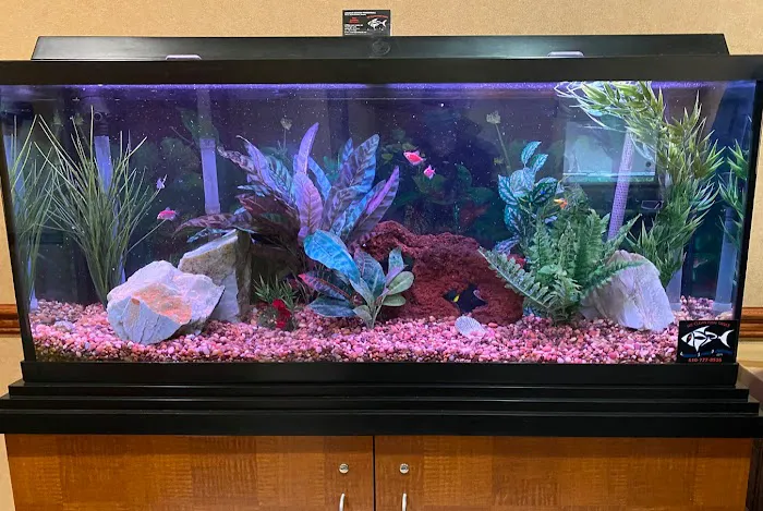 Aquarium Services Professionals Picture 6
