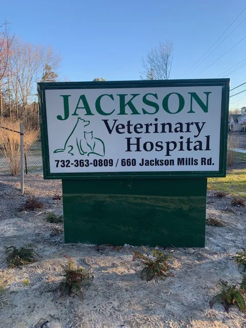 Jackson Veterinary Hospital Picture 4