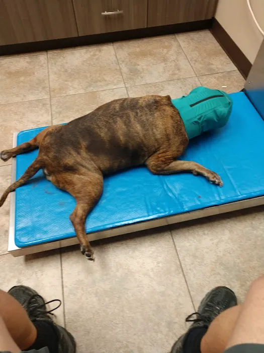 Jackson Veterinary Hospital Picture 9
