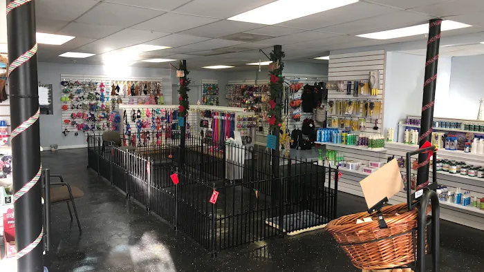 AA Ridgewood Kennels II Picture 1