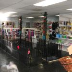 AA Ridgewood Kennels II