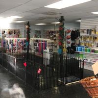 AA Ridgewood Kennels II ico