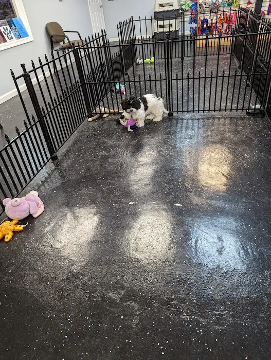 AA Ridgewood Kennels II Picture 10