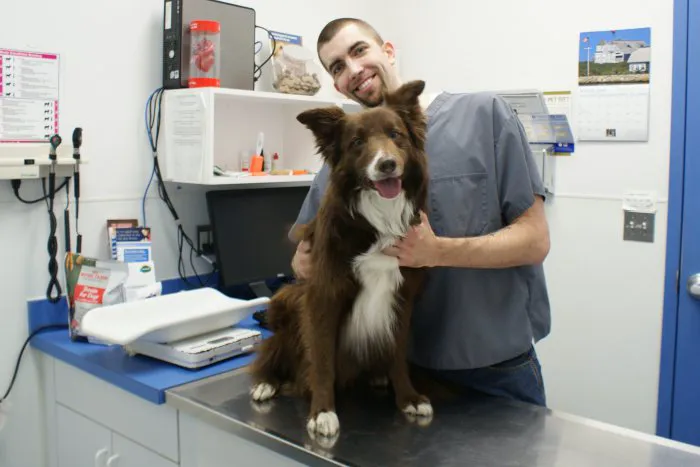 Twin Rivers Animal Hospital Picture 3