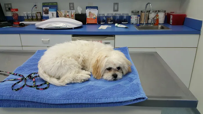 Twin Rivers Animal Hospital Picture 2