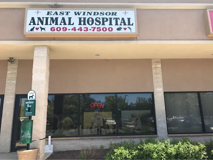 East Windsor Animal Hospital Picture 6