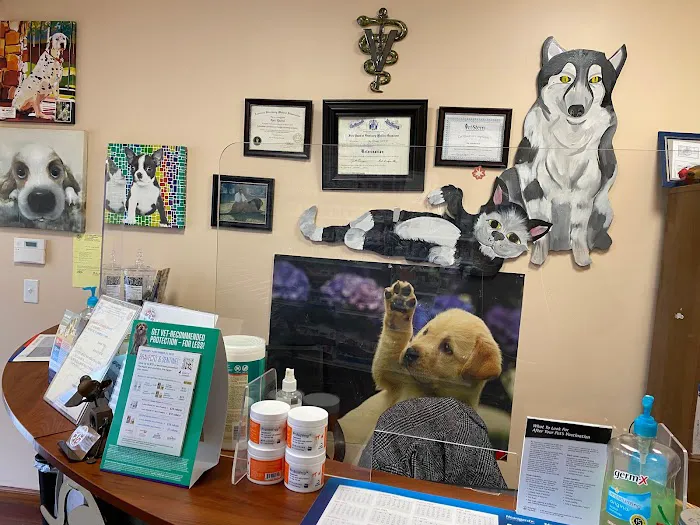 East Windsor Animal Hospital Picture 5
