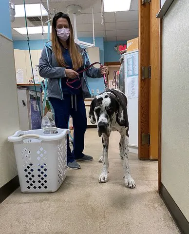 Raintree Veterinary Hospital Raintree Veterinary Picture 1