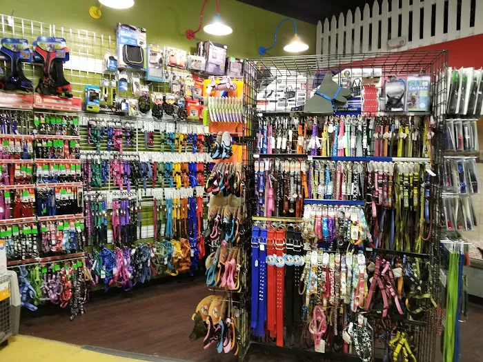 ALL PETS CLUB Picture 4