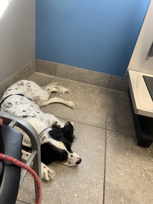Douglassville Veterinary Hospital Picture 1