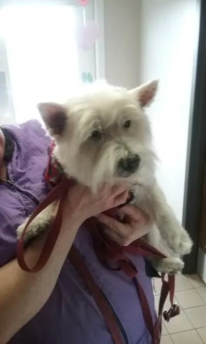 Douglassville Veterinary Hospital Picture 10