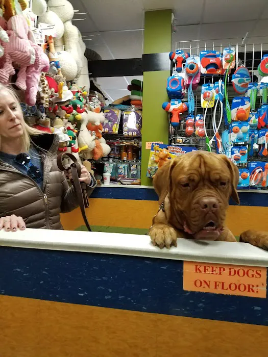 ALL PETS CLUB Picture 1