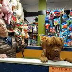 ALL PETS CLUB