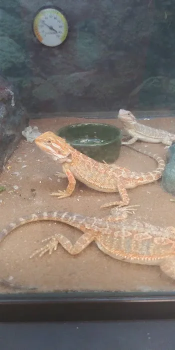 Petco Picture 1