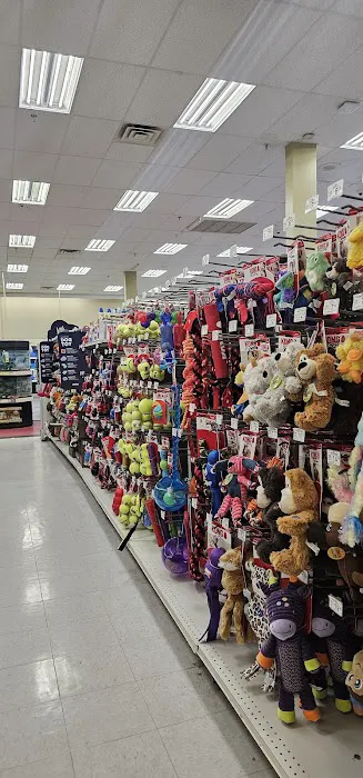 Petco Picture 2