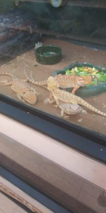 Petco Picture 5