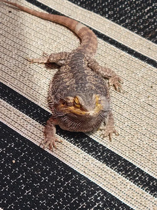 Petco Picture 6