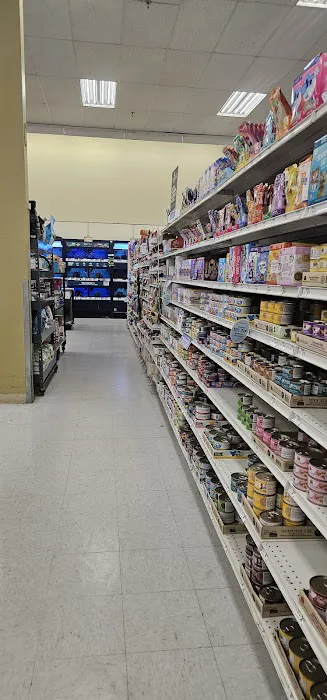 Petco Picture 8