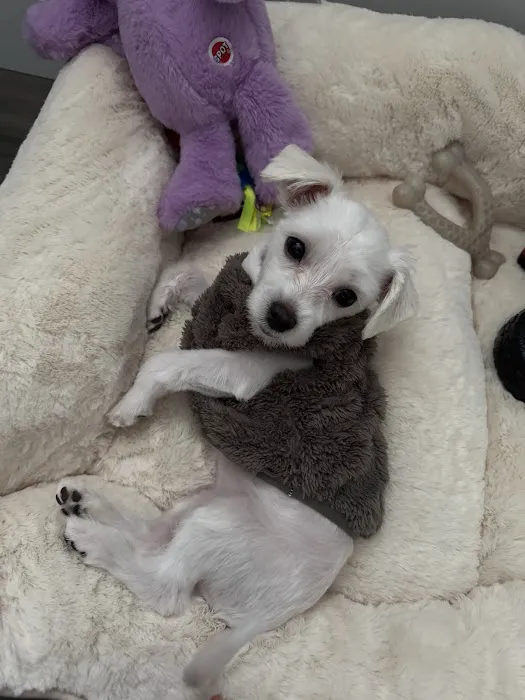 Petco Picture 7