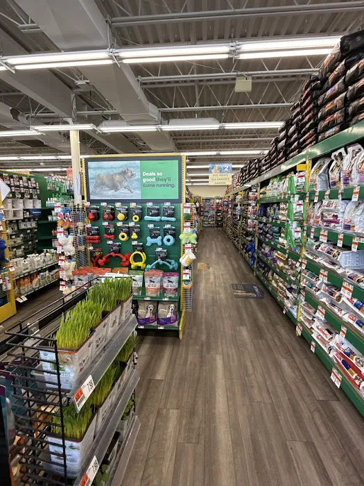 Pet Supplies Plus Bristol Picture 3
