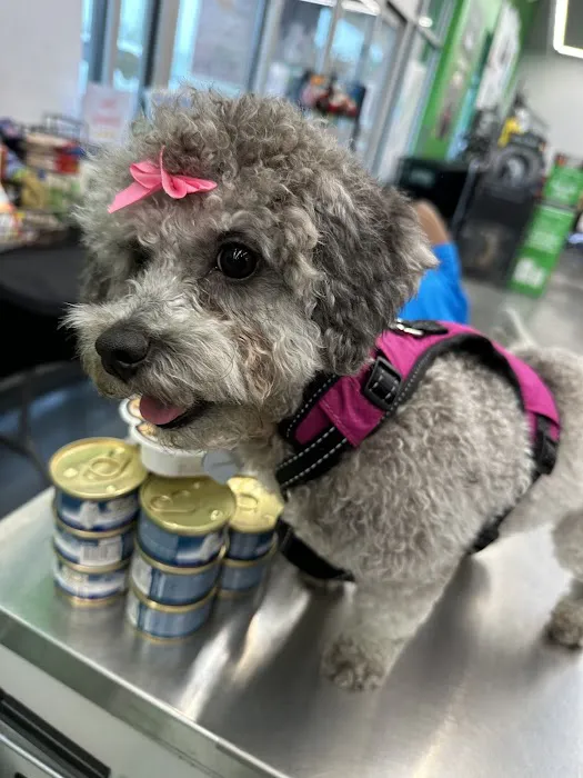Pet Supplies Plus Bristol Picture 9
