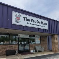 The Vet On Main ico