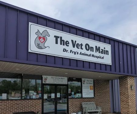 The Vet On Main